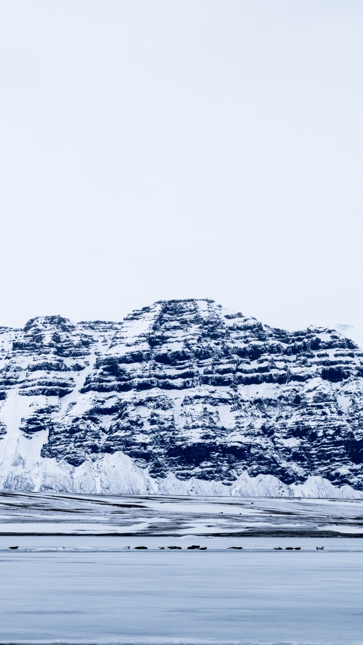 Glacier, Iceberg, Eau, de L'arctique, Mer. Wallpaper in 720x1280 Resolution