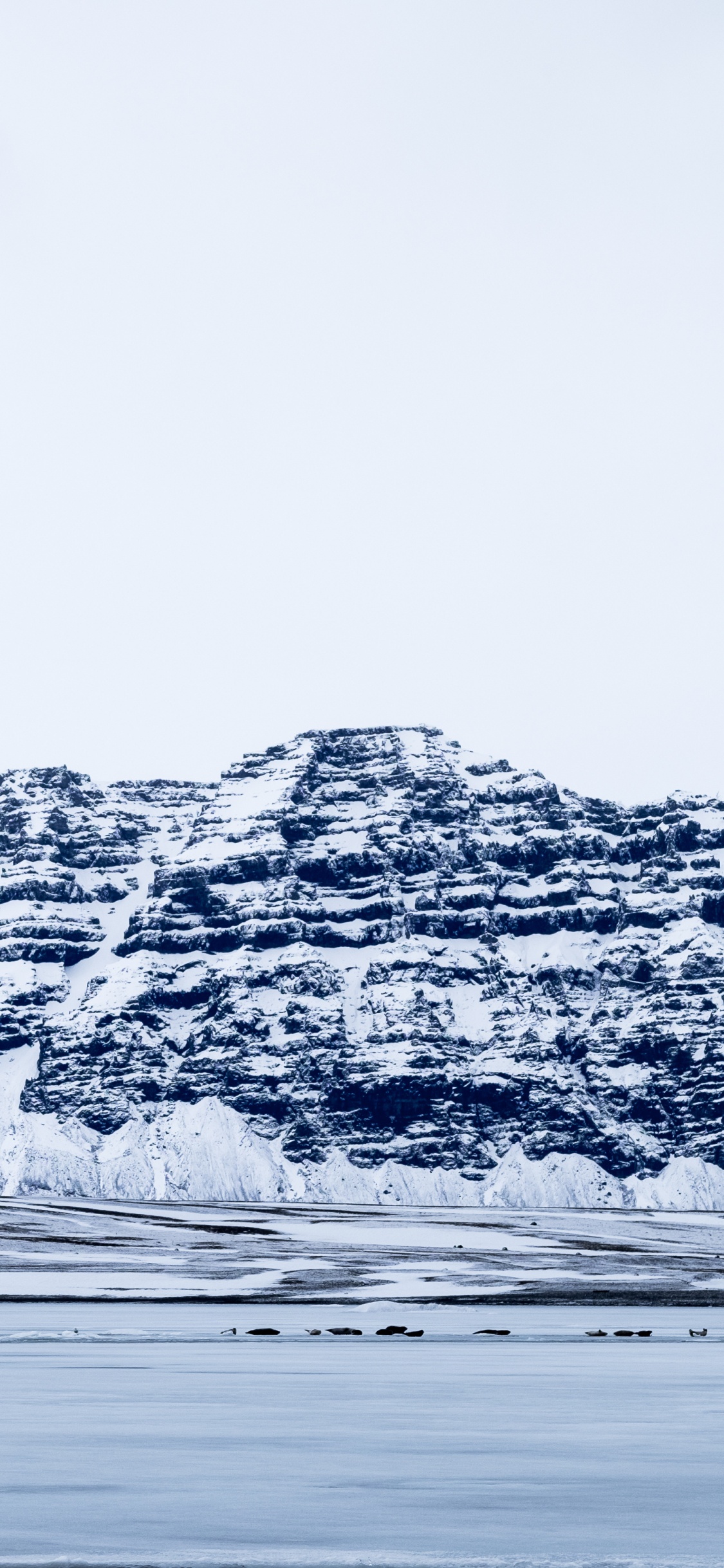 Gletscher, Eisberg, Wasser, Arktis, Meer. Wallpaper in 1125x2436 Resolution