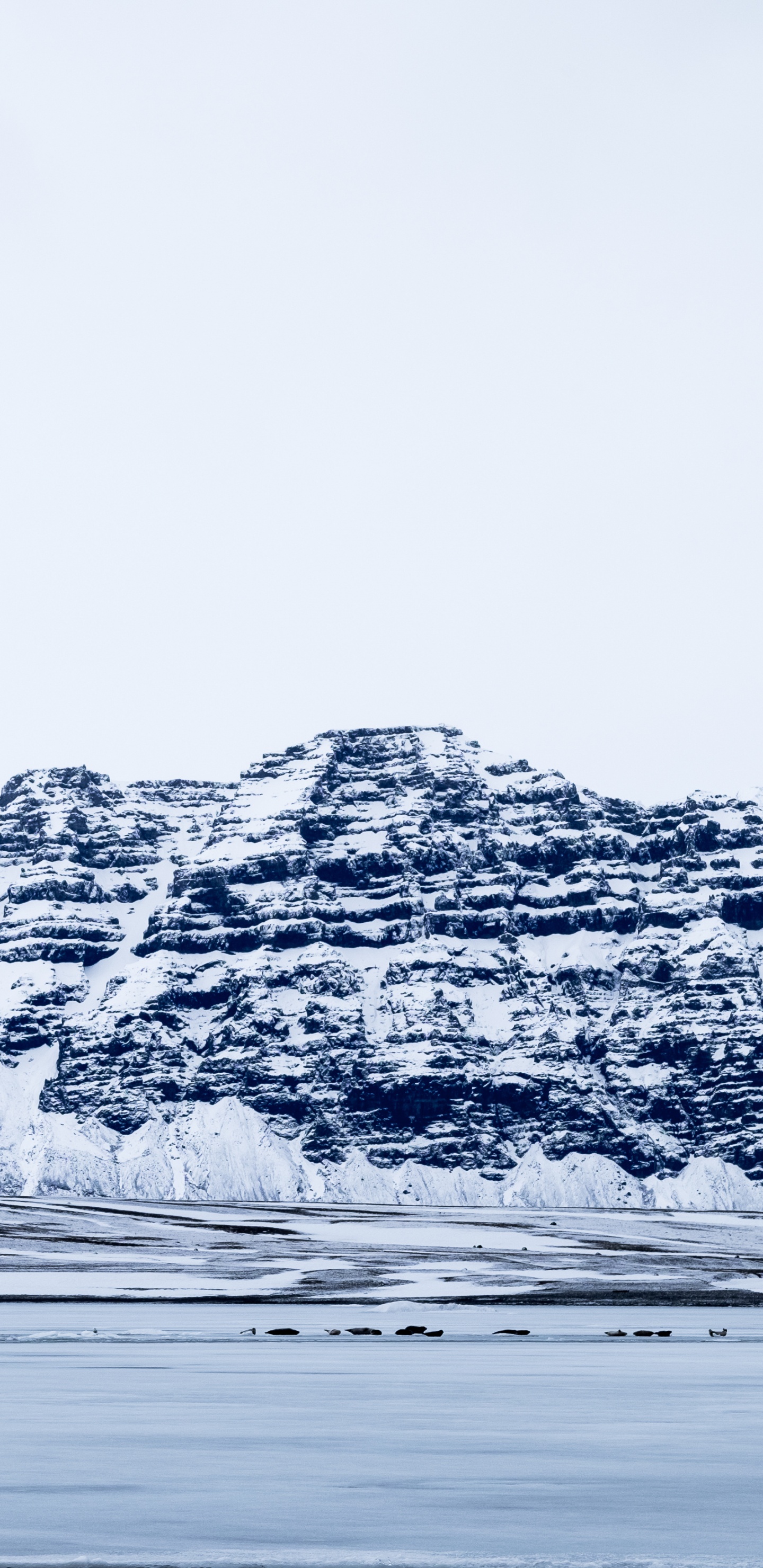 Gletscher, Eisberg, Wasser, Arktis, Meer. Wallpaper in 1440x2960 Resolution