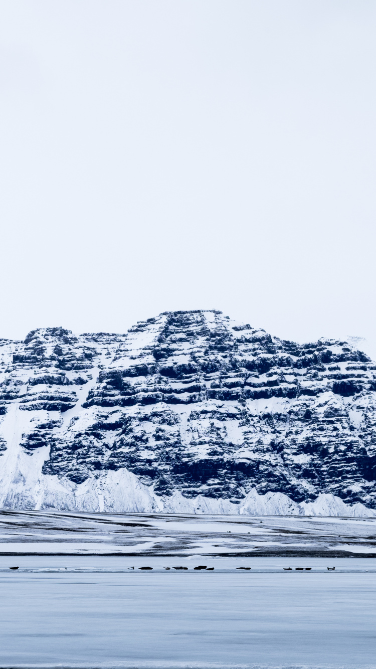 Gletscher, Eisberg, Wasser, Arktis, Meer. Wallpaper in 750x1334 Resolution
