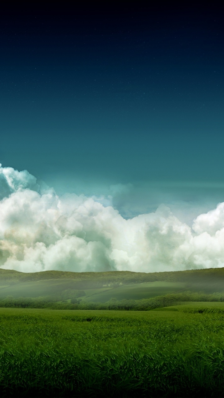 Campo de Hierba Verde Bajo un Cielo Azul Durante el Día. Wallpaper in 720x1280 Resolution