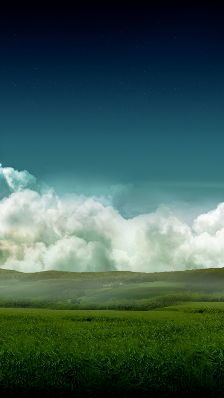 Campo de Hierba Verde Bajo un Cielo Azul Durante el Día. Wallpaper in 750x1334 Resolution