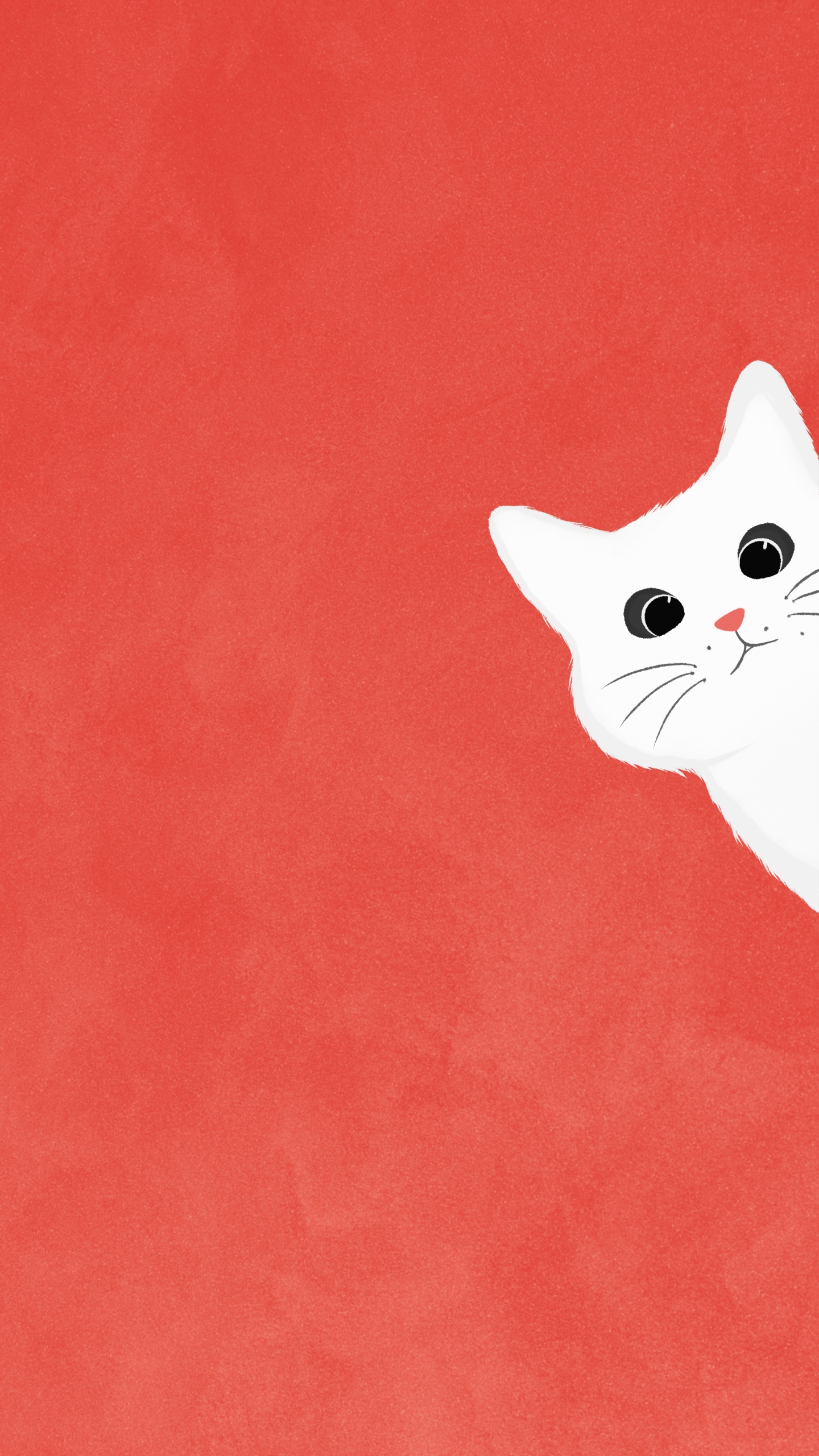 Chat, Felidae, Carnivores, Les Petites et Moyennes Chats, Moustache. Wallpaper in 1440x2560 Resolution