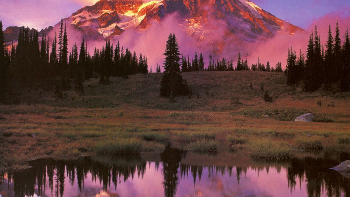 Green Pine Trees Near Snow Covered Mountain During Daytime. Wallpaper in 1366x768 Resolution