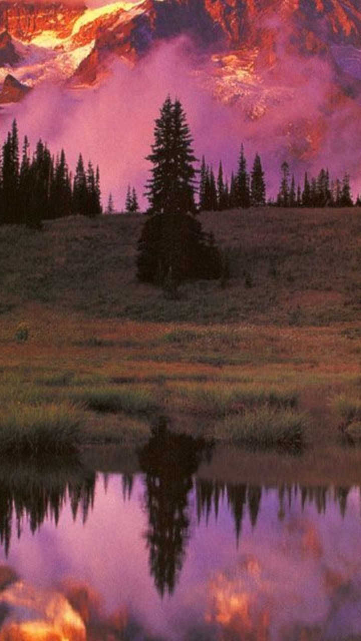 Green Pine Trees Near Snow Covered Mountain During Daytime. Wallpaper in 720x1280 Resolution
