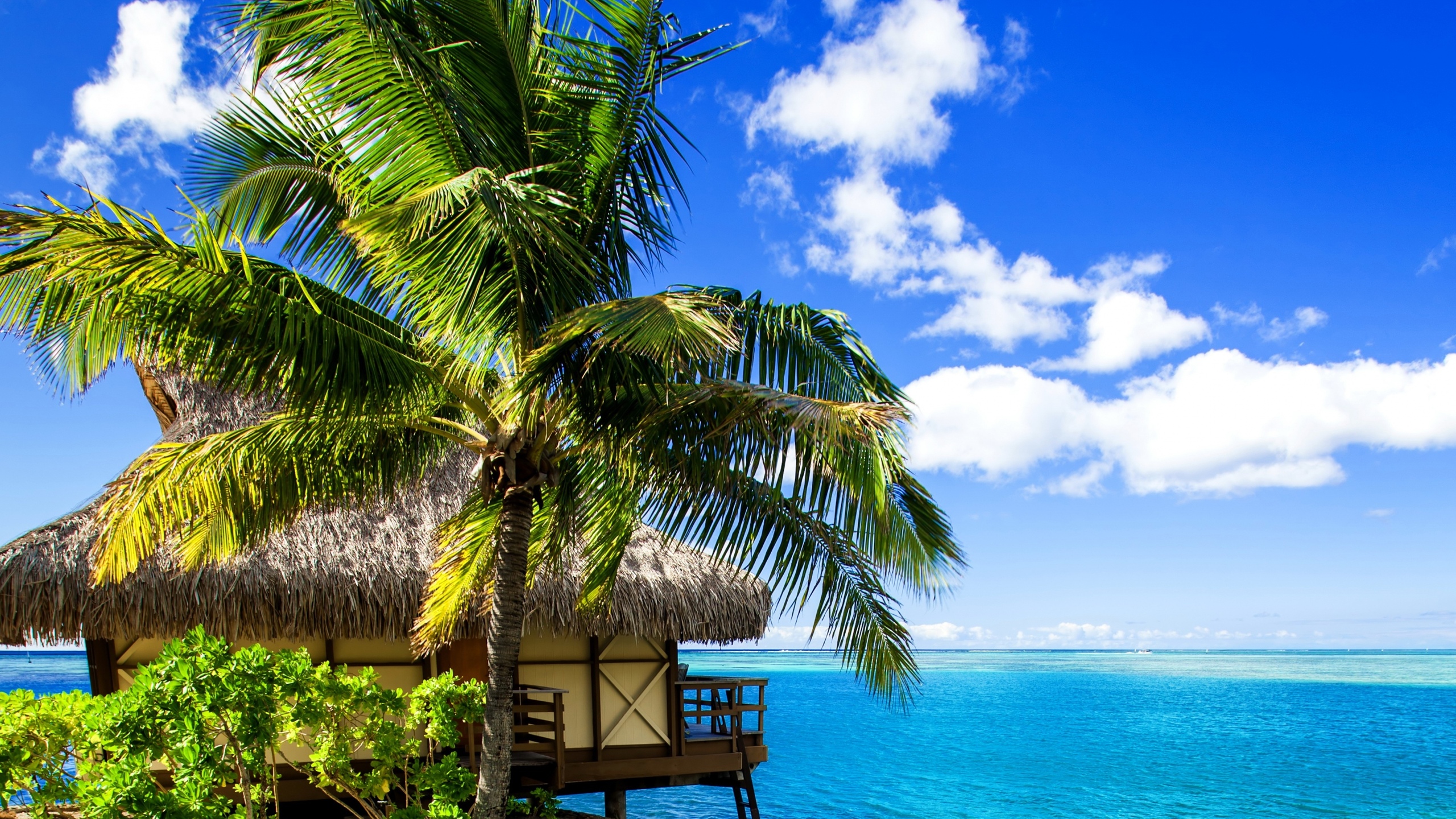 Brown Wooden Cottage on Beach During Daytime. Wallpaper in 2560x1440 Resolution