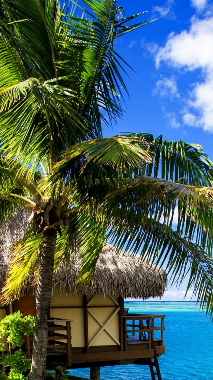 Cabaña de Madera Marrón en la Playa Durante el Día. Wallpaper in 720x1280 Resolution