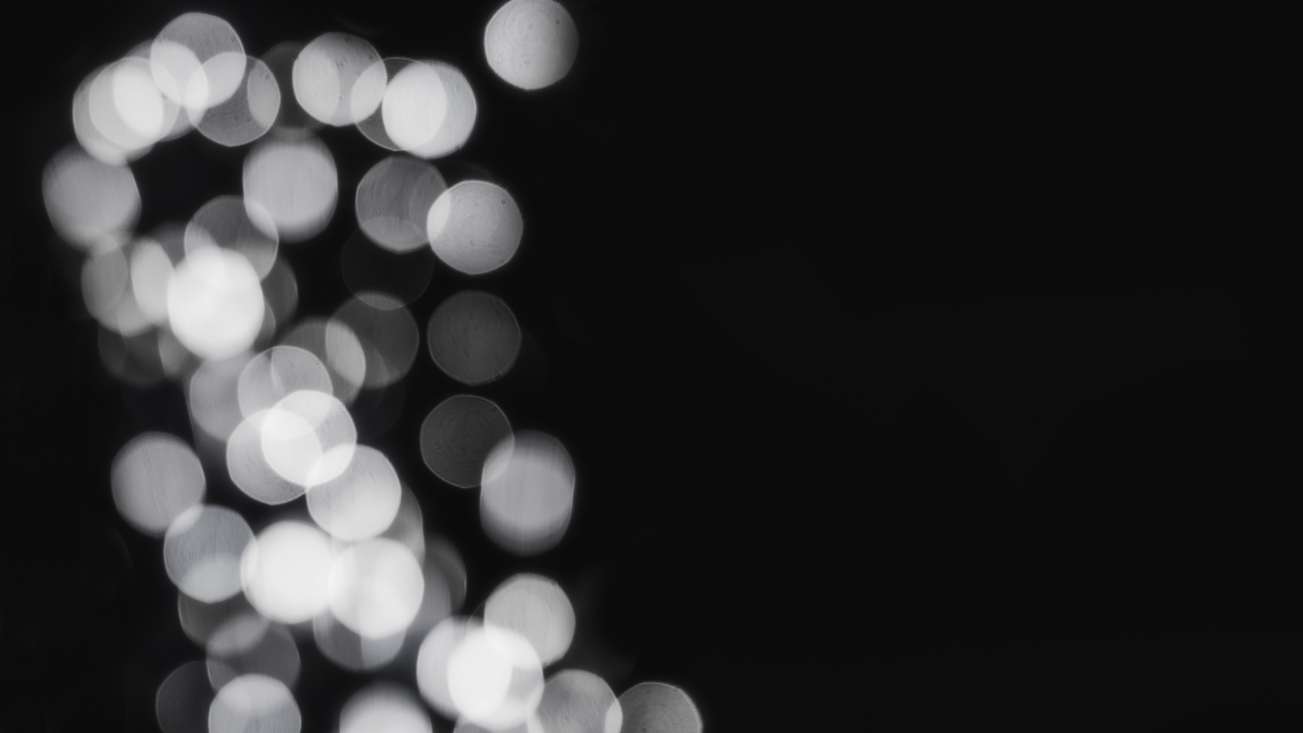Lumières Bokeh Blanches et Noires. Wallpaper in 2560x1440 Resolution