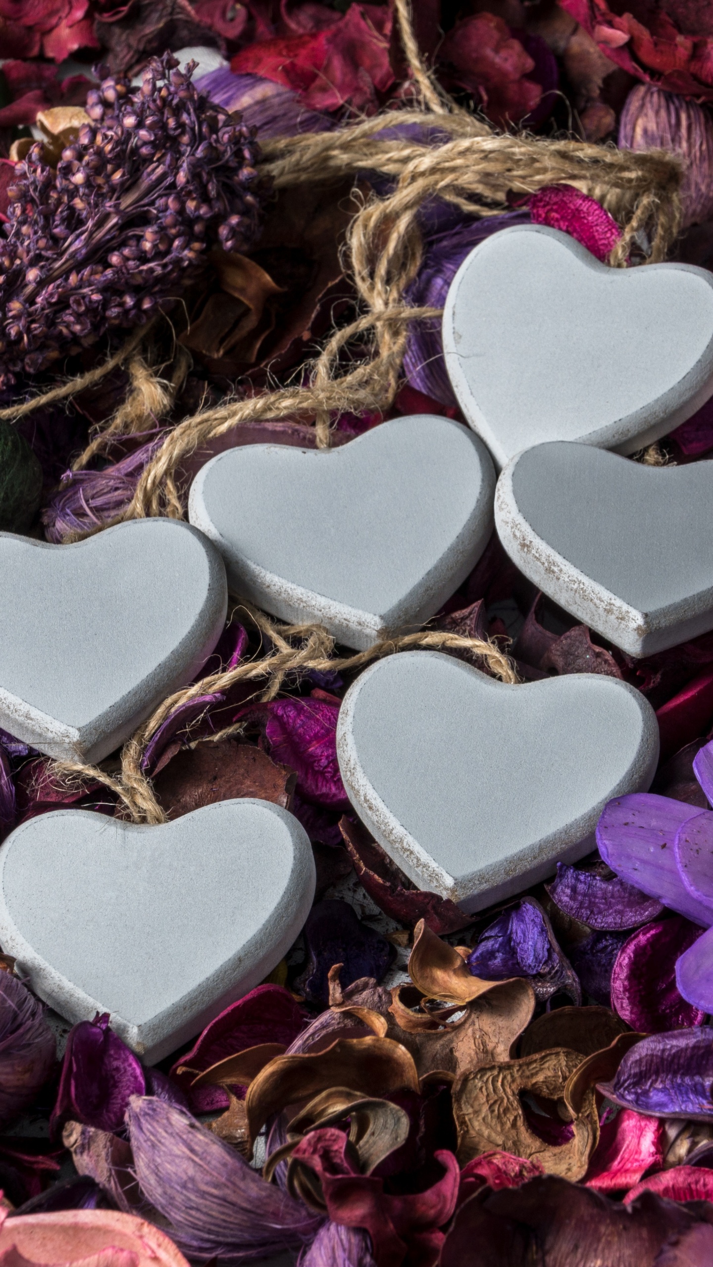 Valentines Day, Purple, Heart, Violet, Petal. Wallpaper in 1440x2560 Resolution