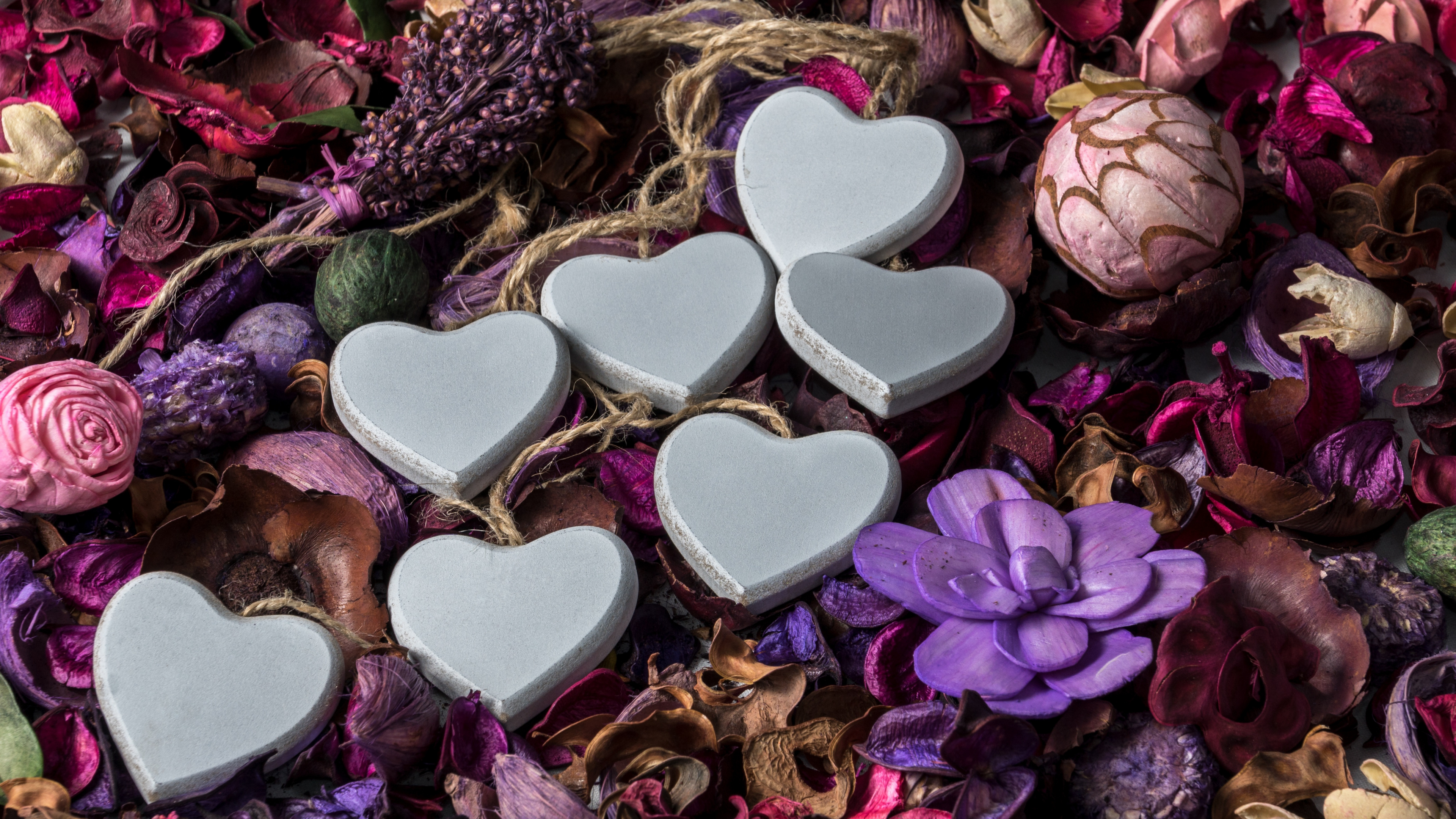 Valentines Day, Purple, Heart, Violet, Petal. Wallpaper in 3840x2160 Resolution