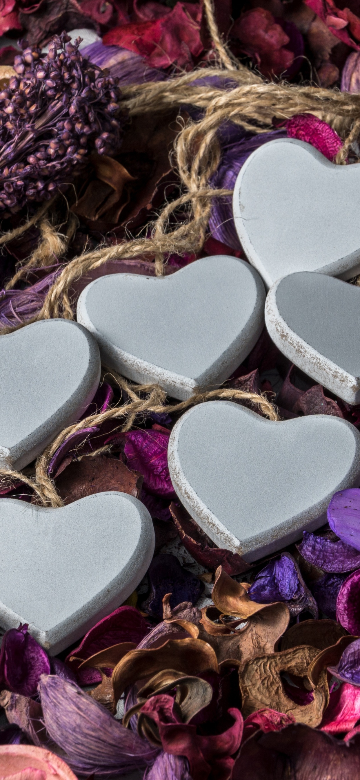 le Jour de Valentines, Purple, Cœur, Violette, Pétale. Wallpaper in 1242x2688 Resolution