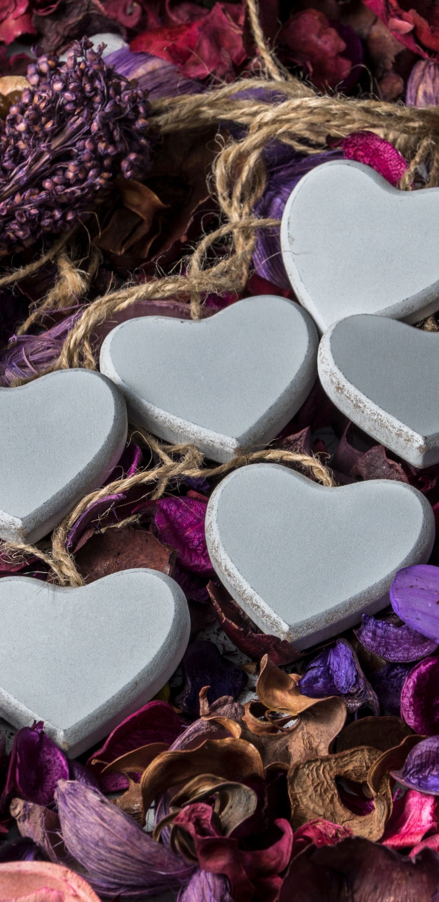 le Jour de Valentines, Purple, Cœur, Violette, Pétale. Wallpaper in 1440x2960 Resolution