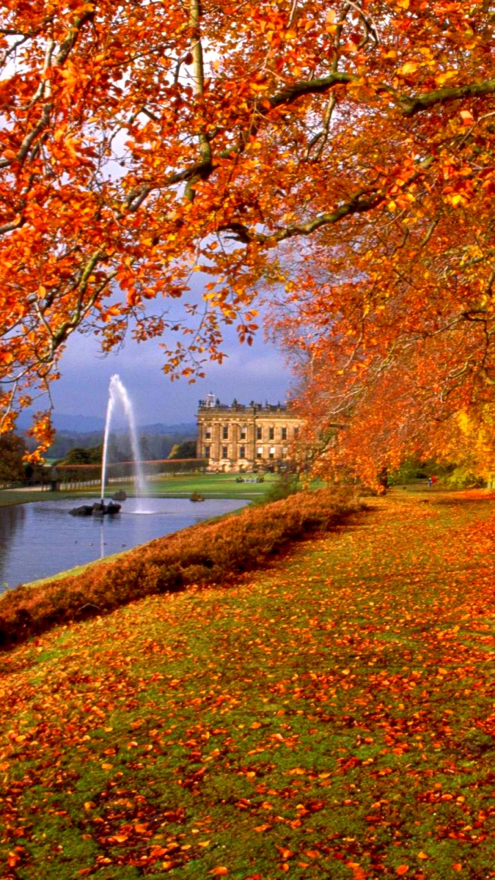 Red and Brown Trees Near Body of Water During Daytime. Wallpaper in 720x1280 Resolution