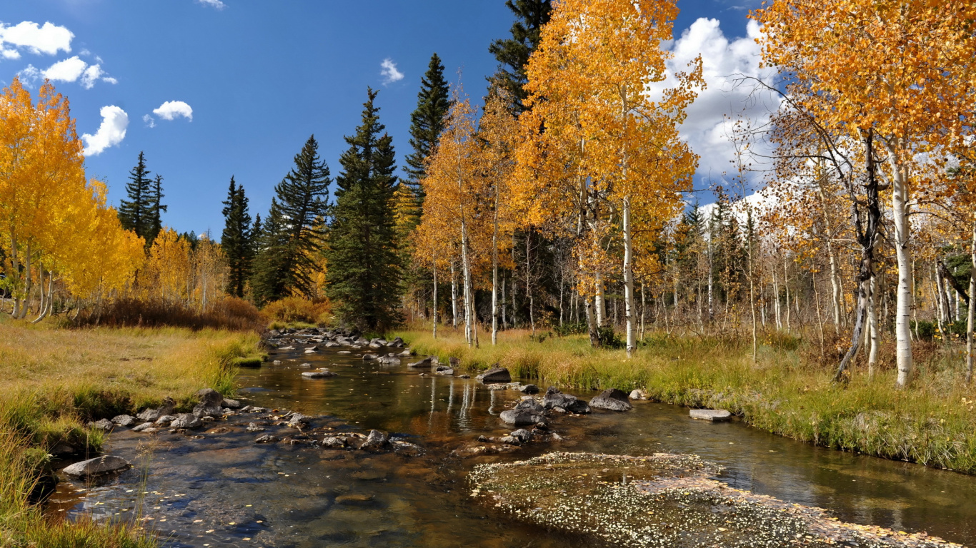 Green Trees Beside River Under Blue Sky During Daytime. Wallpaper in 1366x768 Resolution