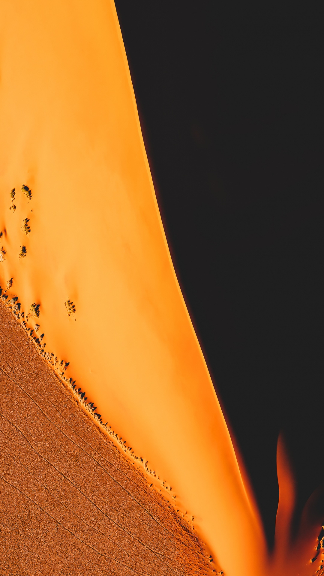 Orange, Brown, Ambre, Pétale, Pente. Wallpaper in 1080x1920 Resolution