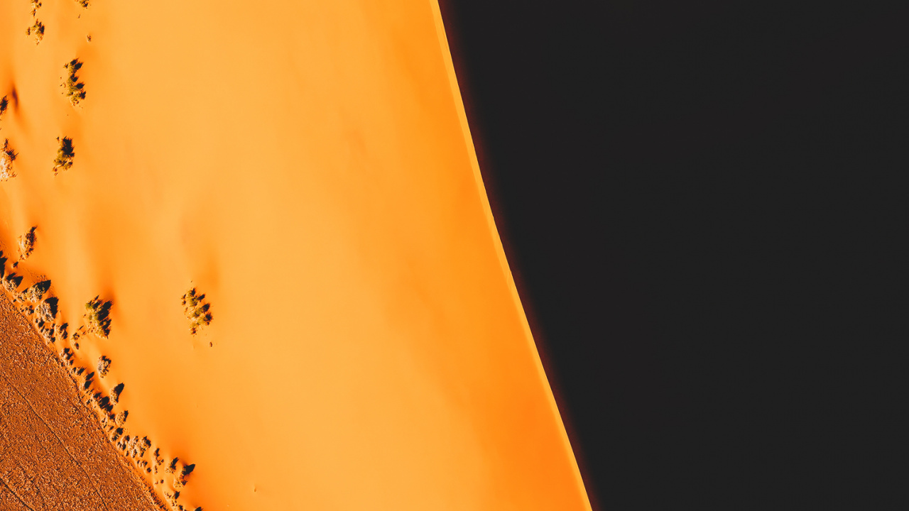 Orange, Brown, Bernstein, Holz, Blütenblatt. Wallpaper in 1280x720 Resolution