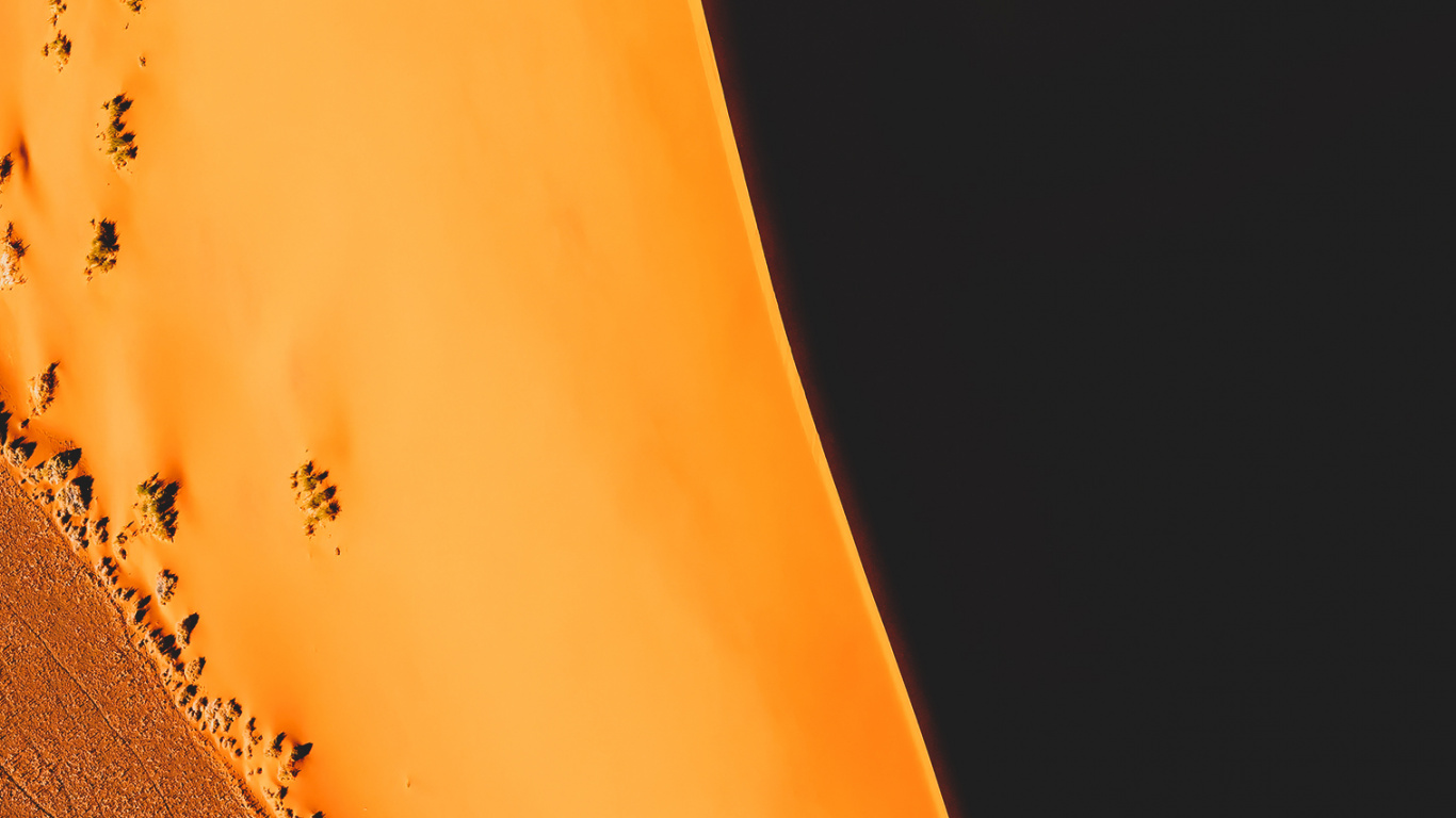 Orange, Brown, Bernstein, Holz, Blütenblatt. Wallpaper in 1366x768 Resolution