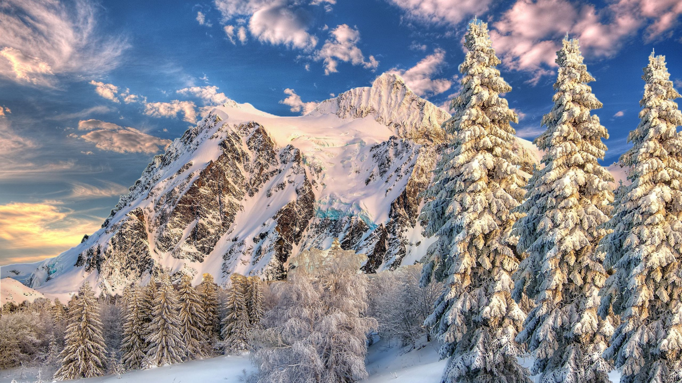 Arbres et Montagnes Couverts de Neige Pendant la Journée. Wallpaper in 1366x768 Resolution