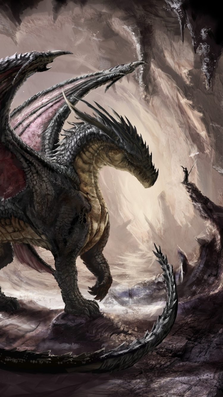 Illustration de Dragon Noir et Marron. Wallpaper in 750x1334 Resolution