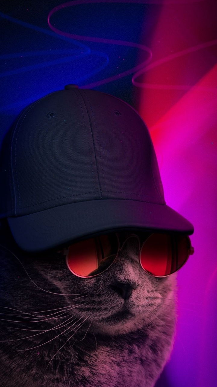 Licht, Haar, Kopf, Brille, Hut. Wallpaper in 720x1280 Resolution