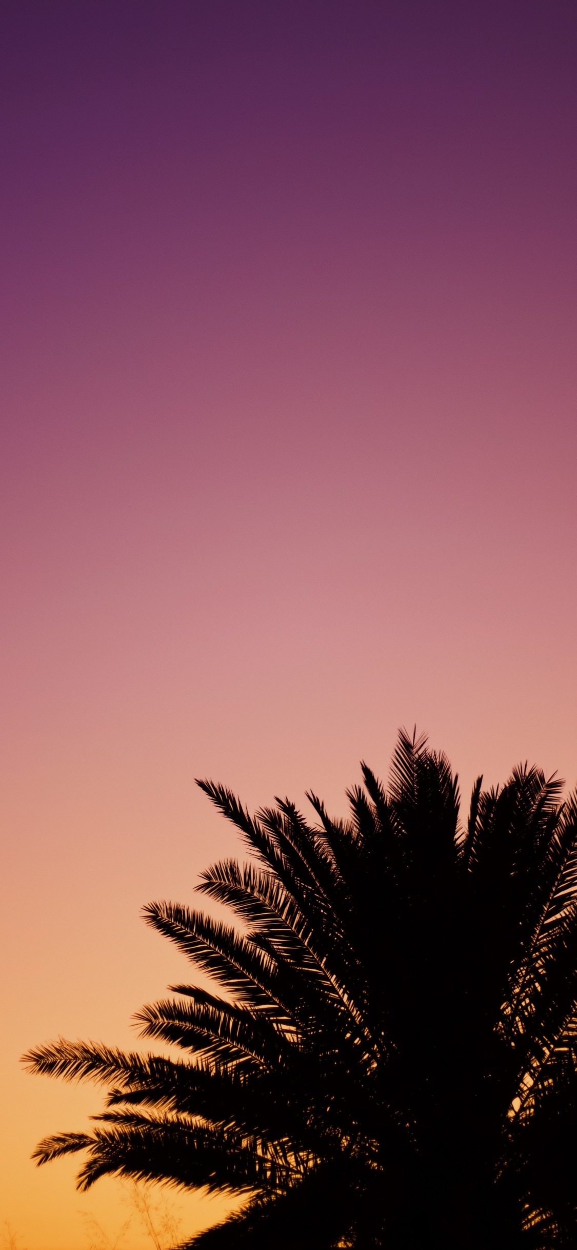 Afterglow, Morado, Atardecer, Puesta, Rosa. Wallpaper in 1125x2436 Resolution