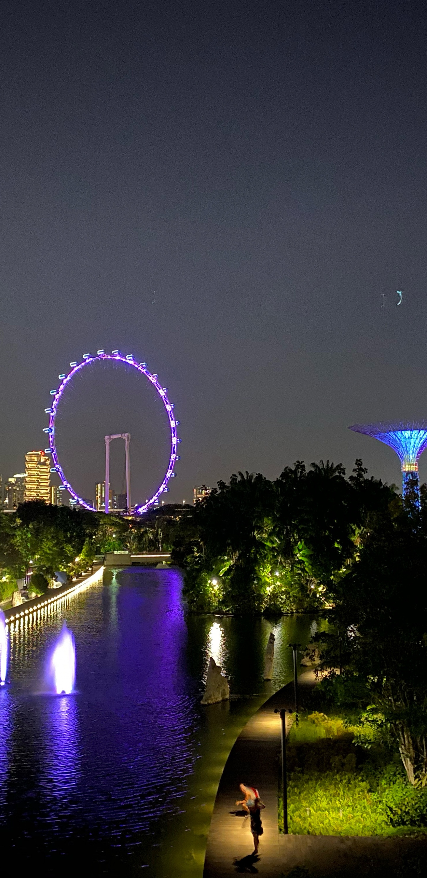 Reflection, Night, Metropolis, Landmark, Majorelle Blue. Wallpaper in 1440x2960 Resolution