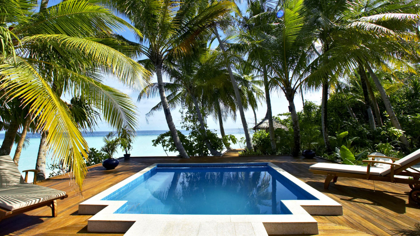 Swimming Pool Near Palm Trees During Daytime. Wallpaper in 1366x768 Resolution