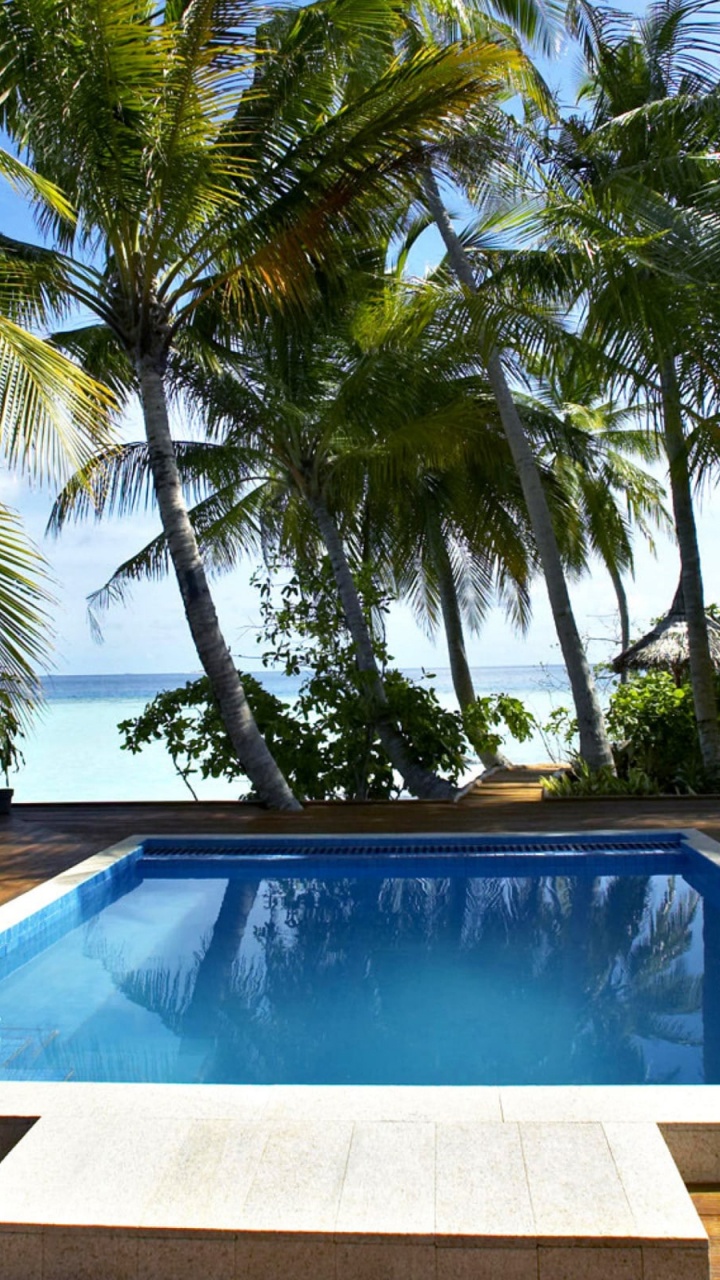 Swimming Pool Near Palm Trees During Daytime. Wallpaper in 720x1280 Resolution