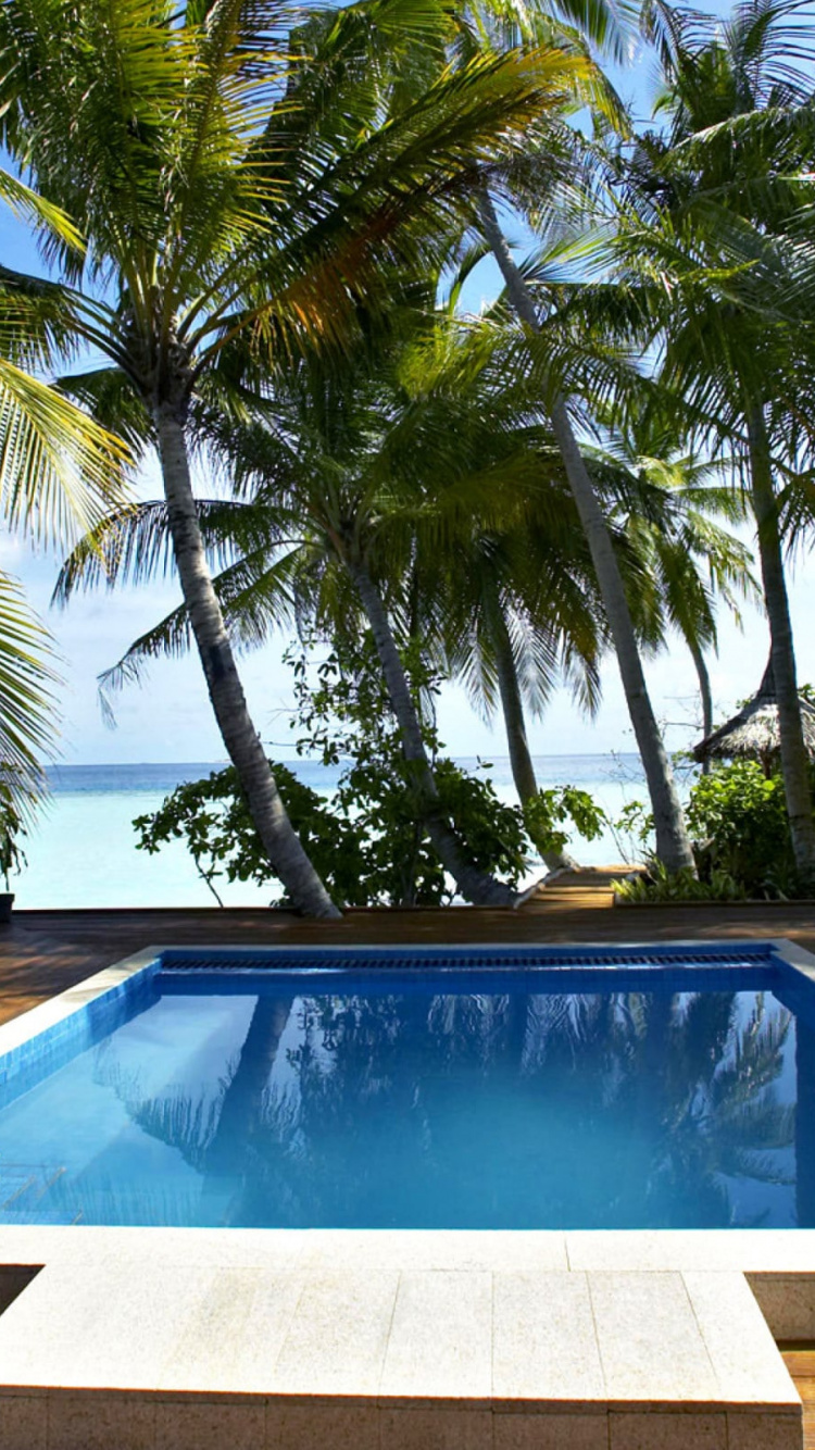 Swimming Pool Near Palm Trees During Daytime. Wallpaper in 750x1334 Resolution