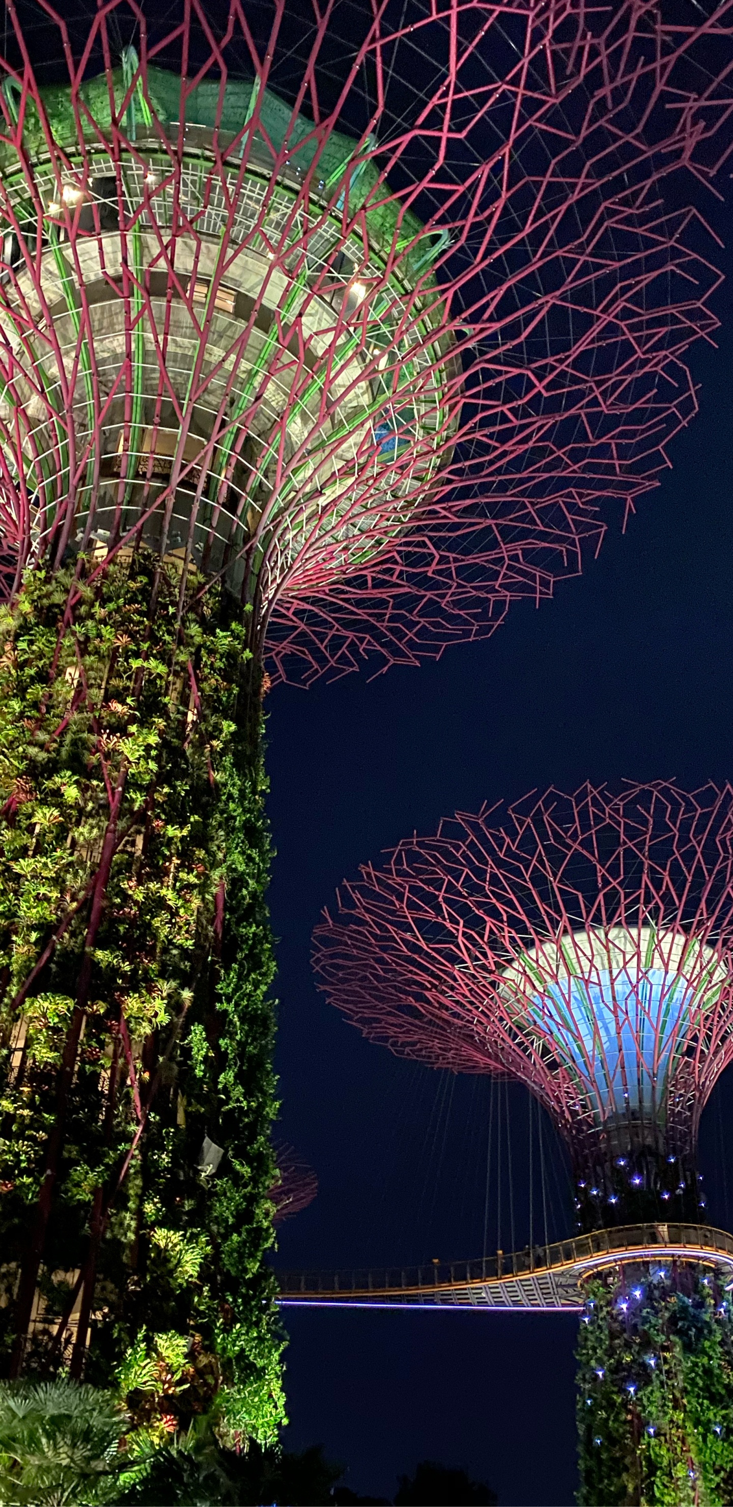 Singapore, Nature, Earth, Tourist Attraction, Landmark. Wallpaper in 1440x2960 Resolution