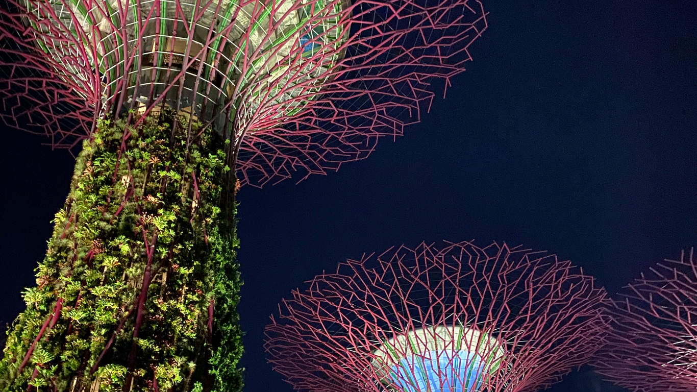 Singapour, Nature, Terre, Attraction Touristique, Nuit. Wallpaper in 1366x768 Resolution