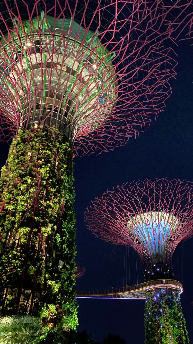 Singapour, Nature, Terre, Attraction Touristique, Nuit. Wallpaper in 750x1334 Resolution