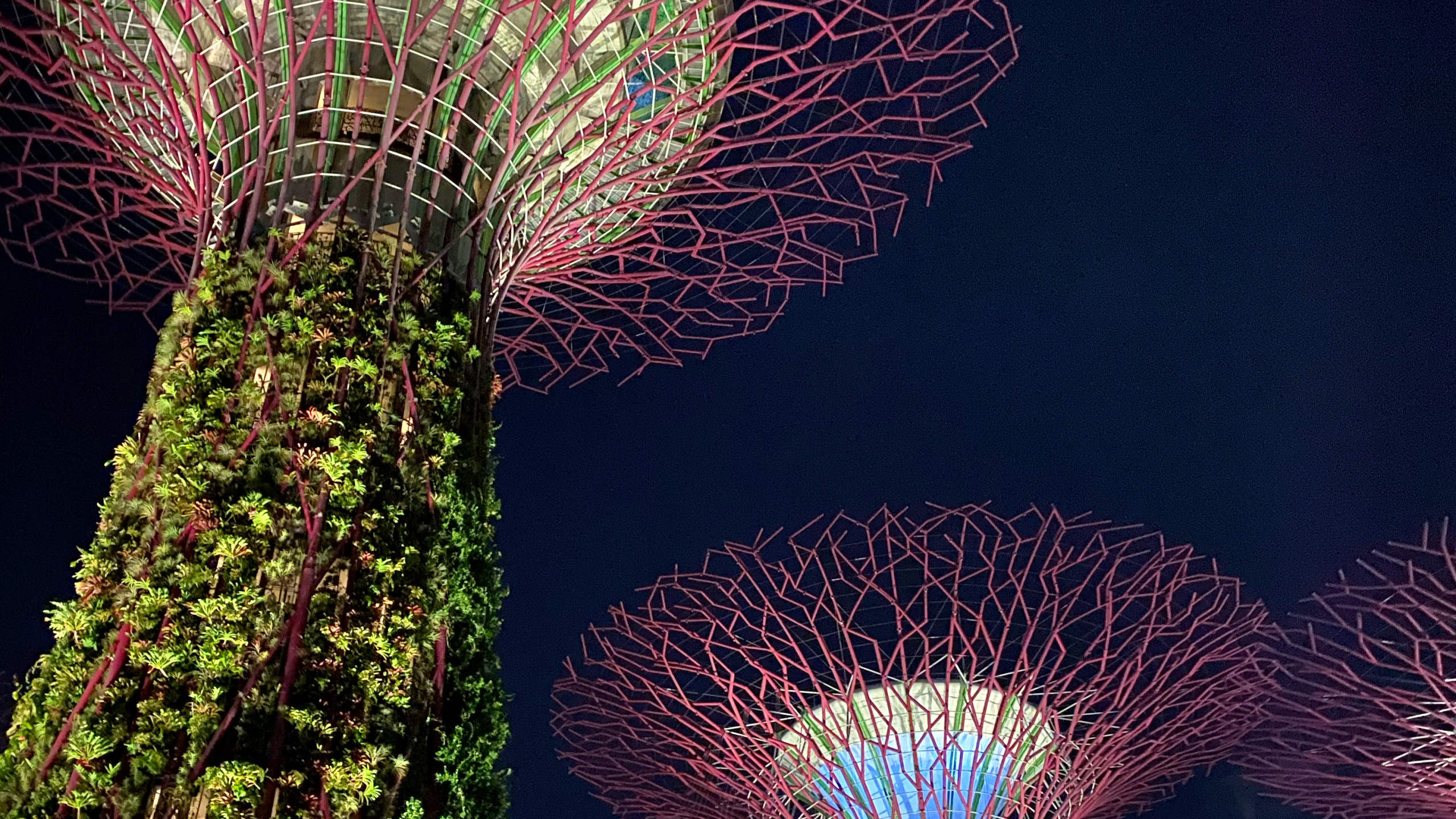 Singapur, Naturaleza, Tierra, Atracción Turística, Hito. Wallpaper in 2560x1440 Resolution