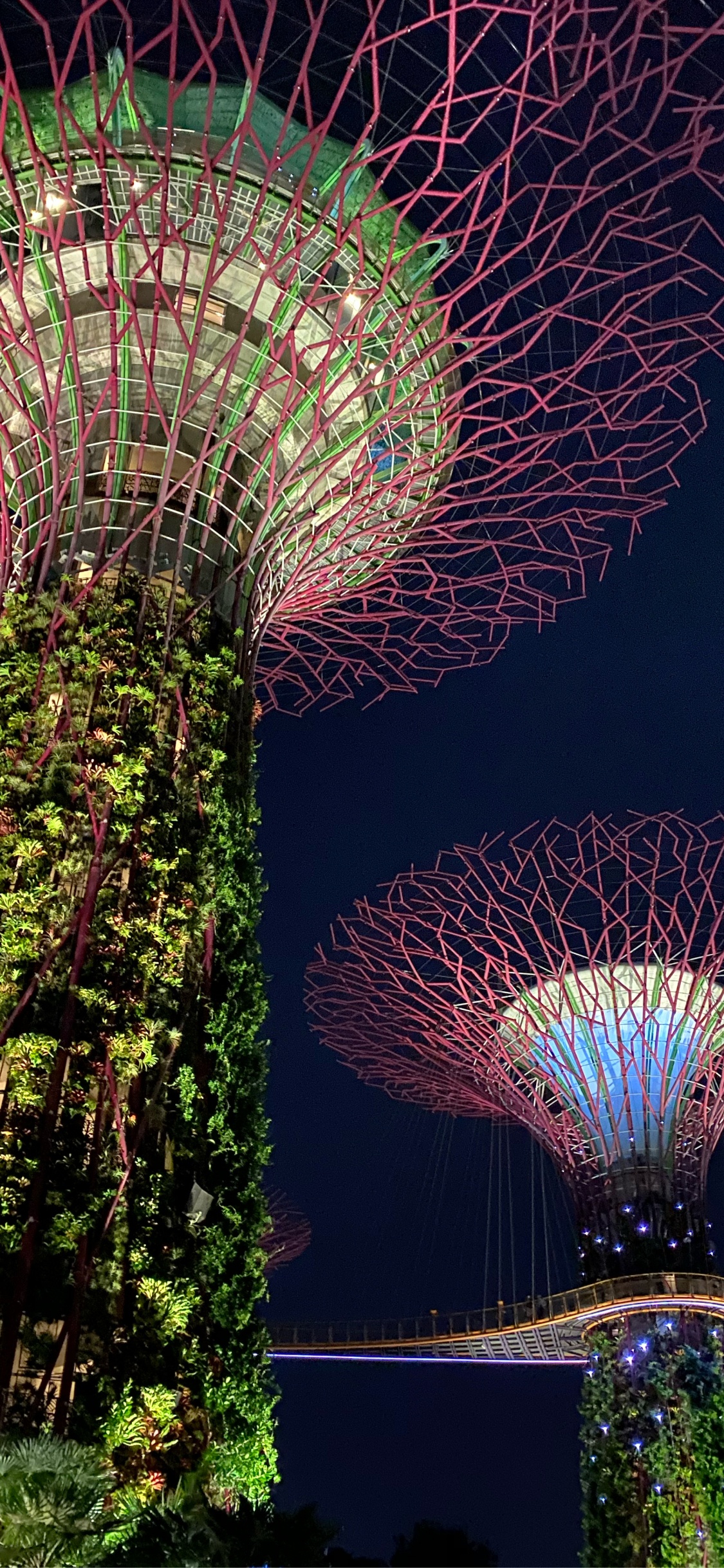 性质, 旅游景点, 里程碑, 花园, 紫色的 壁纸 1125x2436 允许