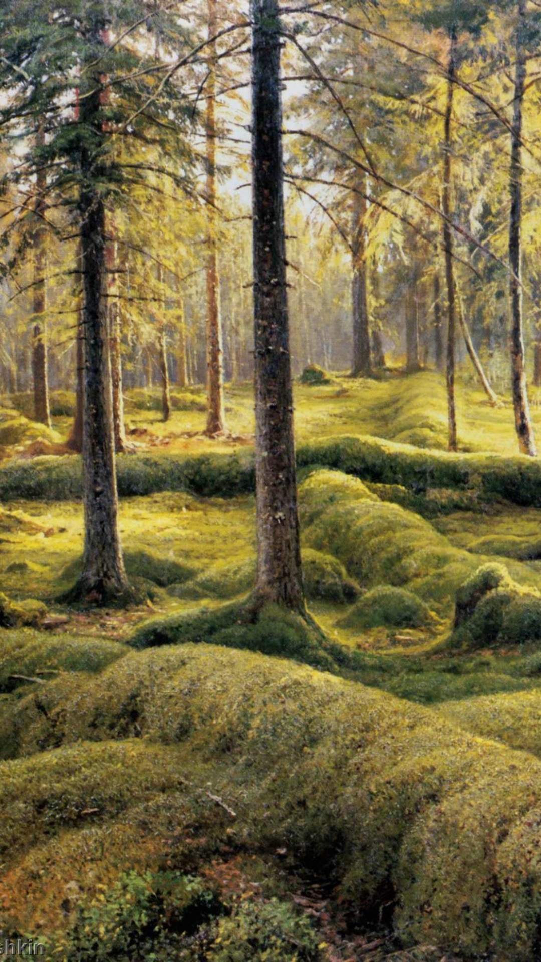 Tagsüber Grünes Gras Und Bäume. Wallpaper in 1080x1920 Resolution