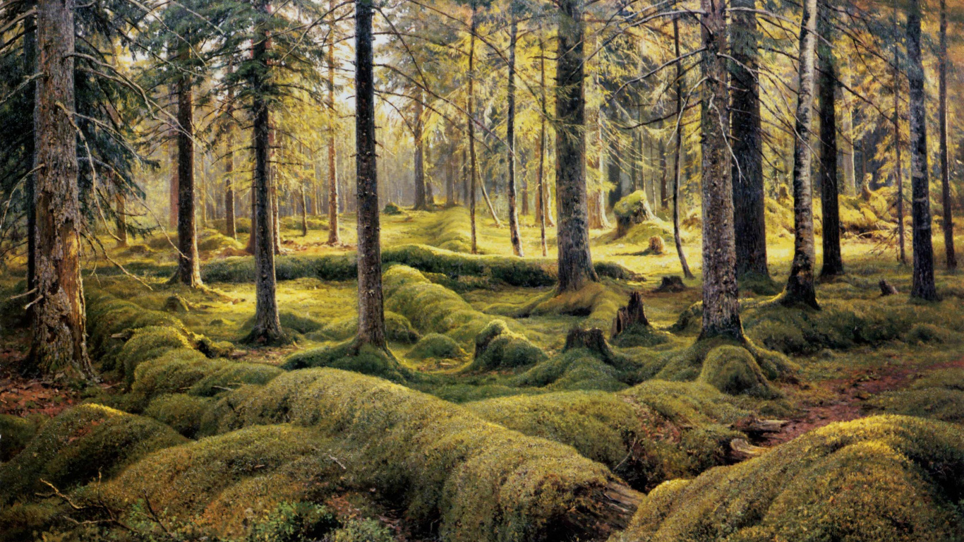 Green Grass and Trees During Daytime. Wallpaper in 1366x768 Resolution