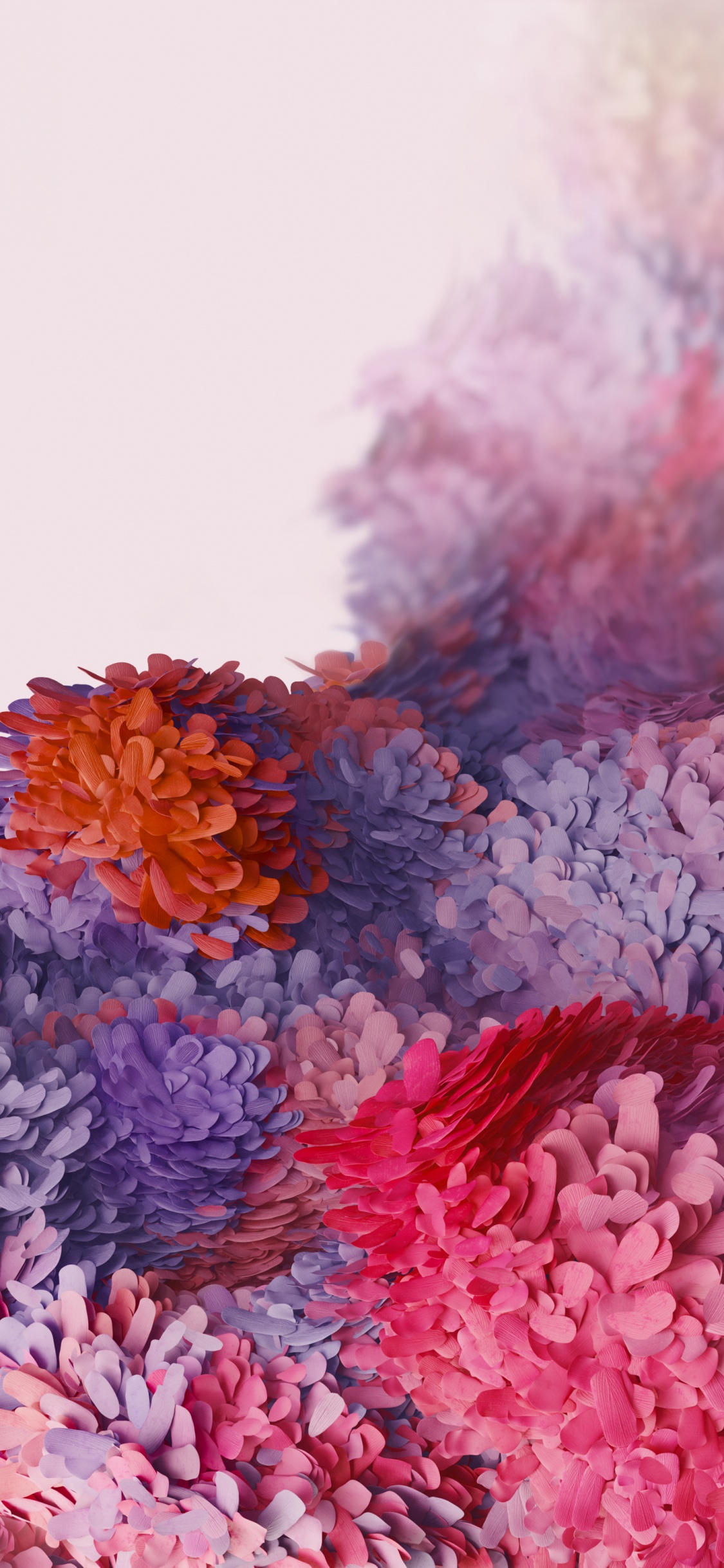 Samsung Galaxy, Samsung, Samsung Galaxy S20, Android, Petal. Wallpaper in 1125x2436 Resolution