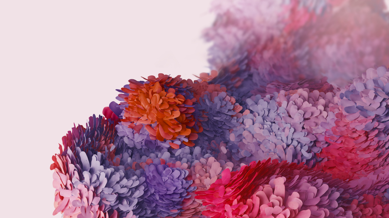 Samsung Galaxy, Samsung, Samsung Galaxy S20, Android, Pétale. Wallpaper in 1280x720 Resolution