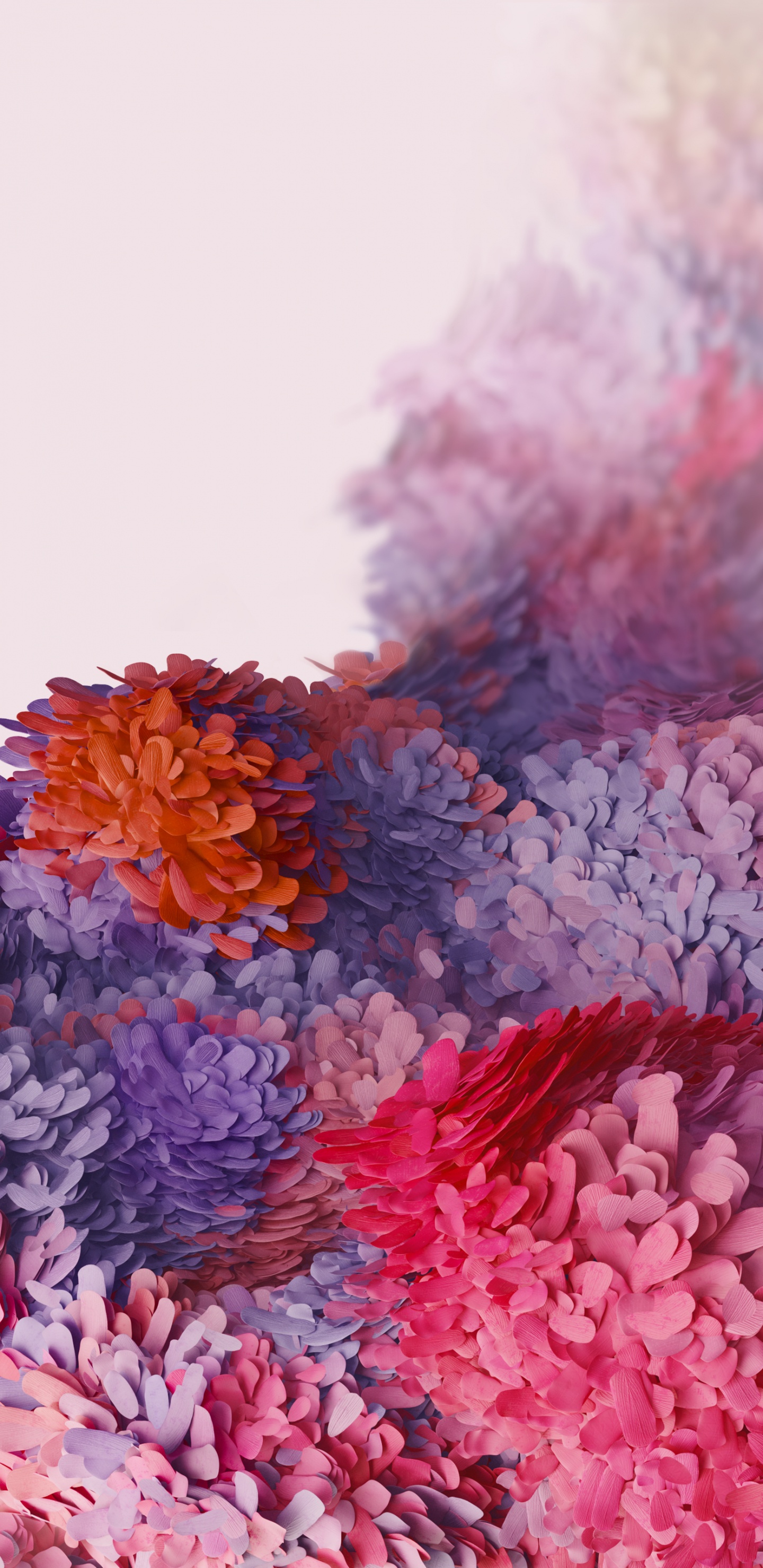 Samsung Galaxy, Samsung, Samsung Galaxy S20, Android, Pétalo. Wallpaper in 1440x2960 Resolution