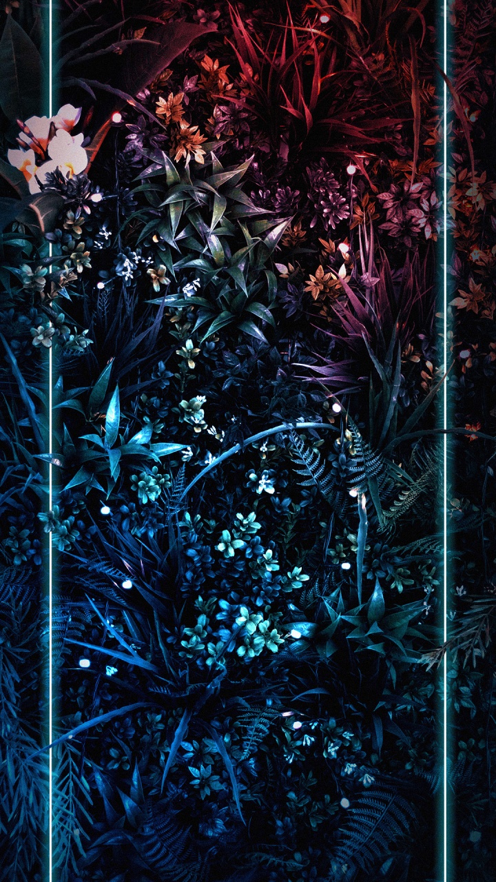 Nature, Plant, Branch, Flower, Twig. Wallpaper in 720x1280 Resolution