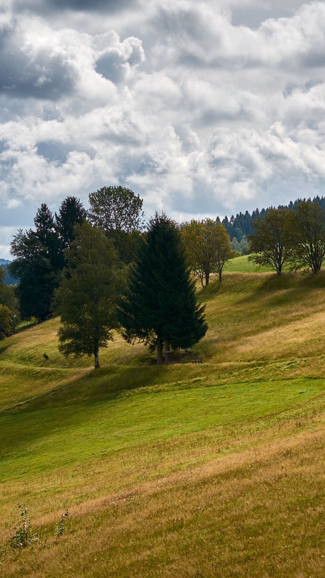 Cloud, Plant, Tree, Natural Landscape, Slope. Wallpaper in 1080x1920 Resolution