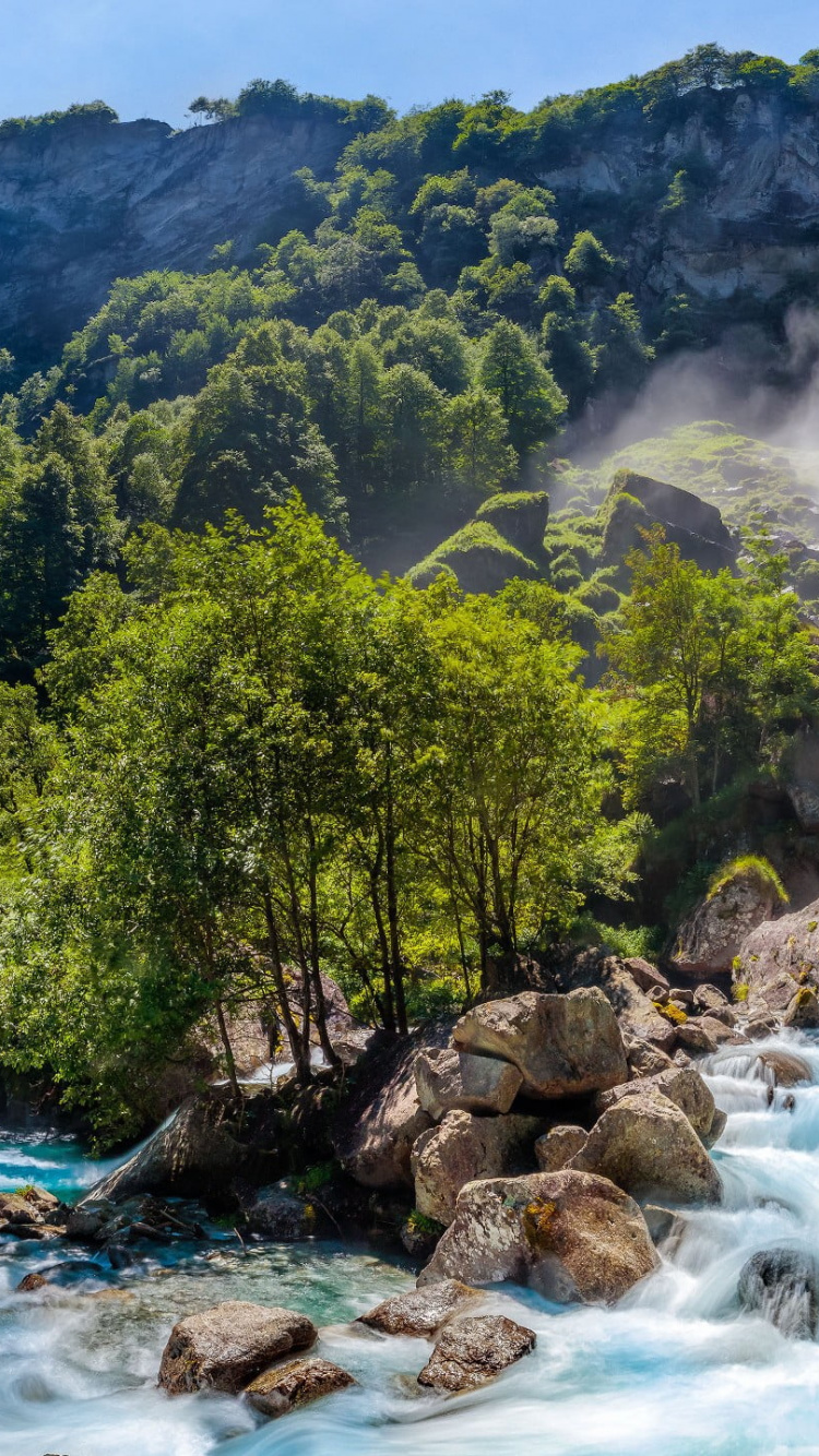 Green Trees Beside River During Daytime. Wallpaper in 750x1334 Resolution