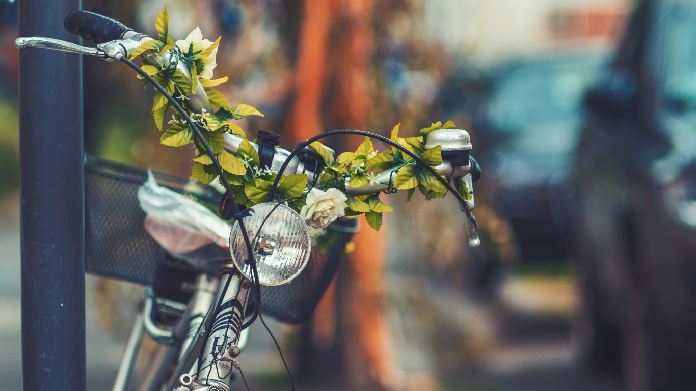 Fleurs Blanches en Pot D'argile Brune. Wallpaper in 1366x768 Resolution