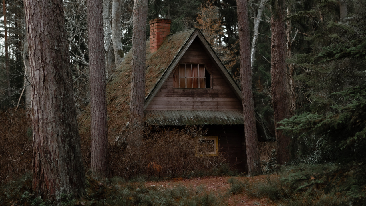 Brown Wooden House in The Woods. Wallpaper in 1280x720 Resolution