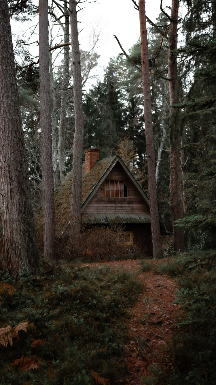 Brown Wooden House in The Woods. Wallpaper in 750x1334 Resolution