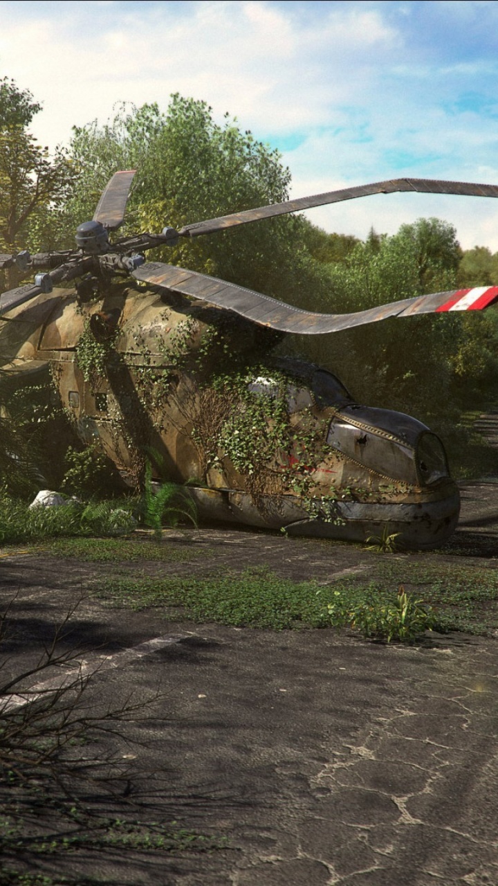 Red and White Bow Tie on Brown Tree Branch. Wallpaper in 720x1280 Resolution