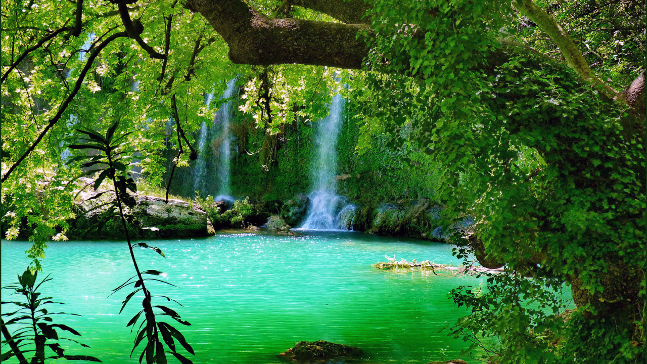 Green Trees Beside Body of Water During Daytime. Wallpaper in 1280x720 Resolution