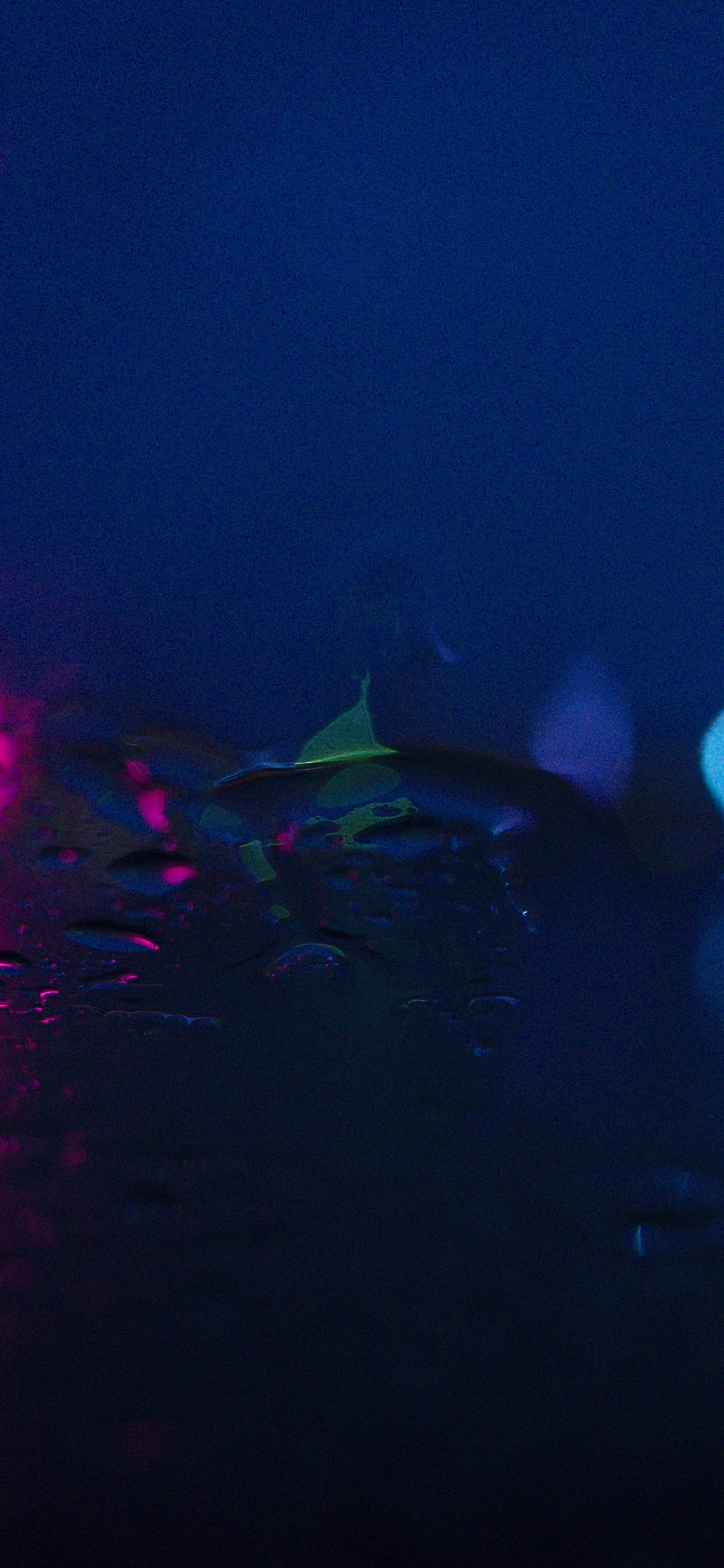 Lila Und Blaue Lichter Auf Der Straße. Wallpaper in 1125x2436 Resolution