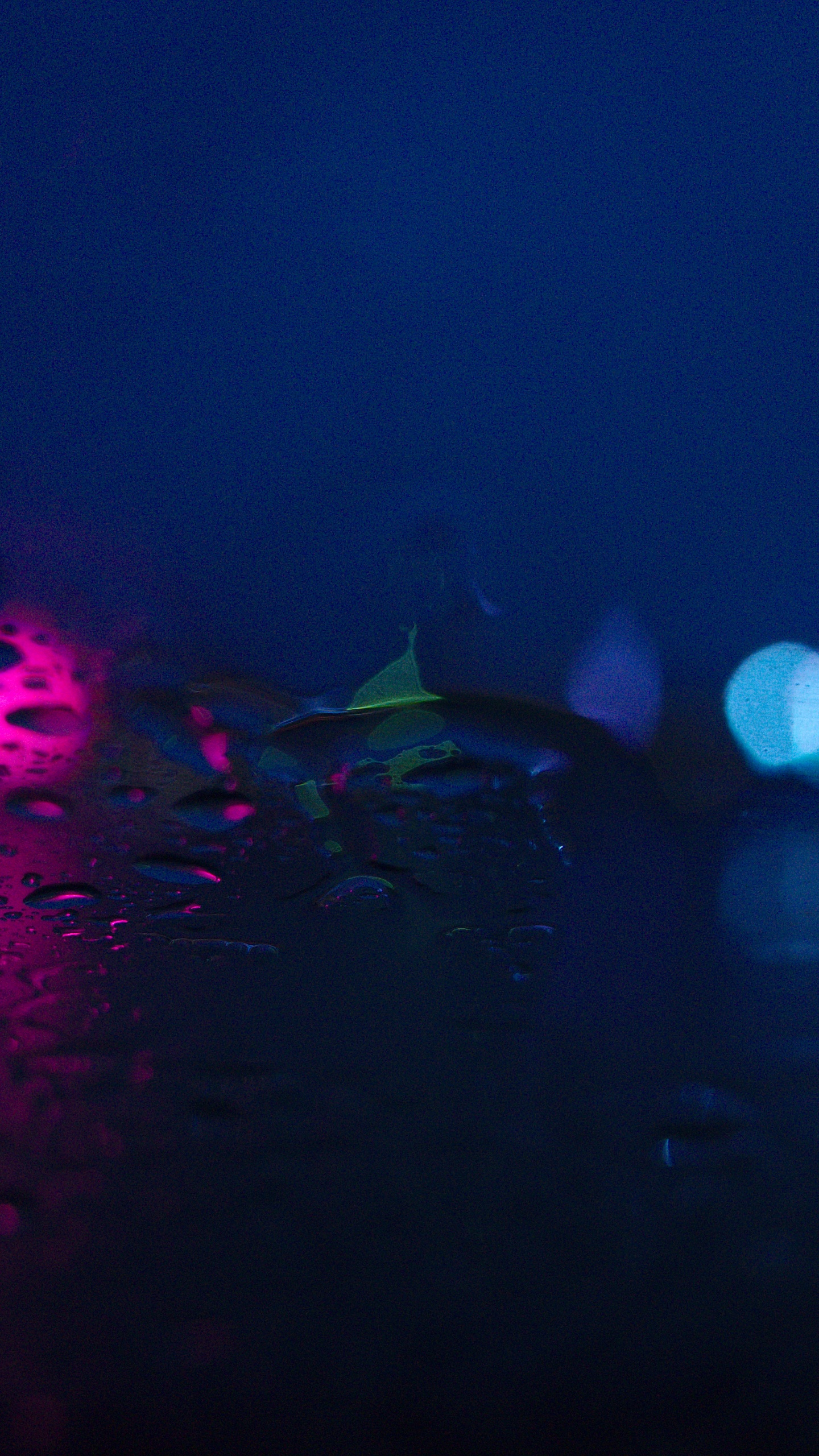 Lila Und Blaue Lichter Auf Der Straße. Wallpaper in 1440x2560 Resolution