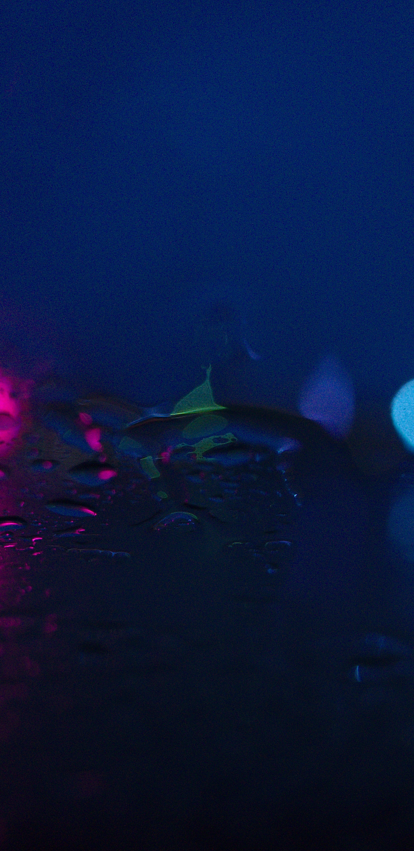 Lila Und Blaue Lichter Auf Der Straße. Wallpaper in 1440x2960 Resolution